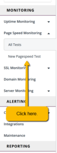 Picture of instruction image on where to find the "New Pagespeed Test" option in StatusCake.